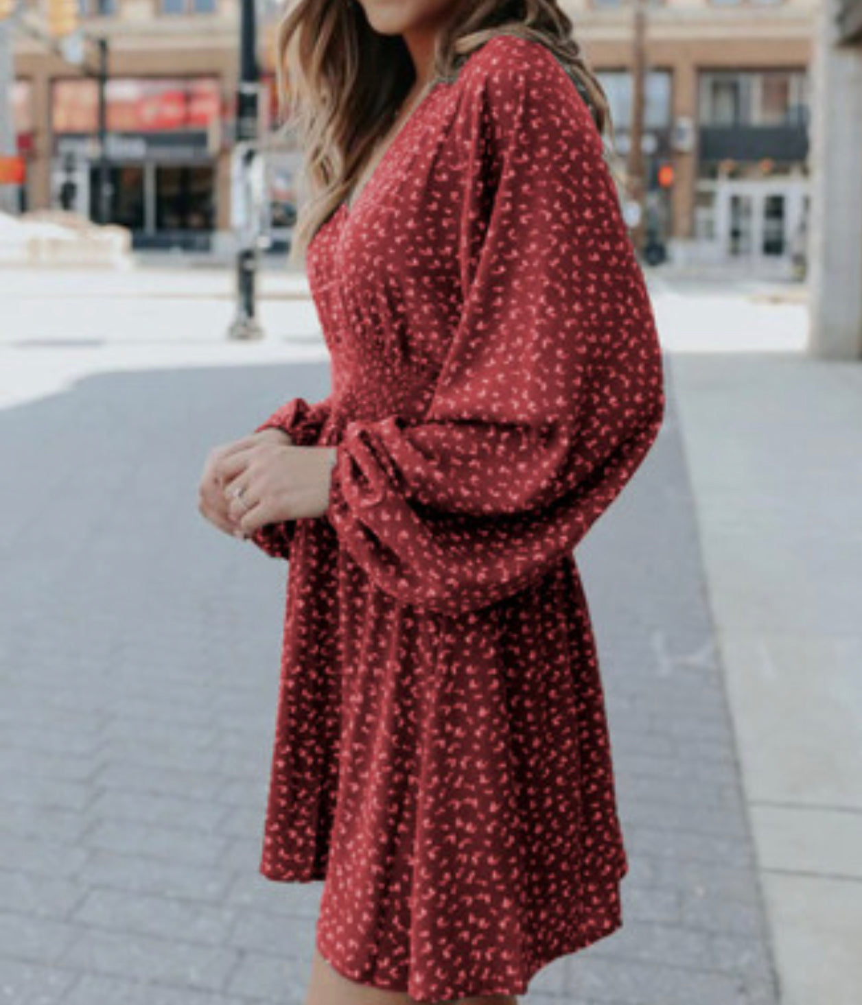 Spring Lantern Sleeve Dress