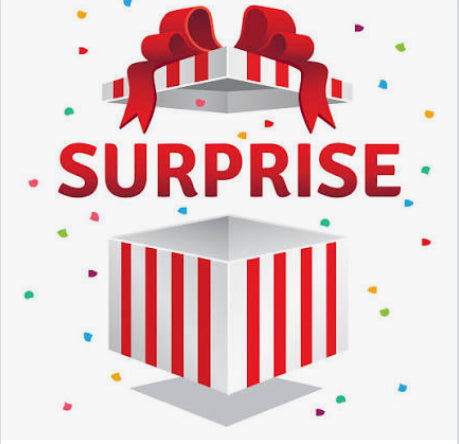 Surprise Bags