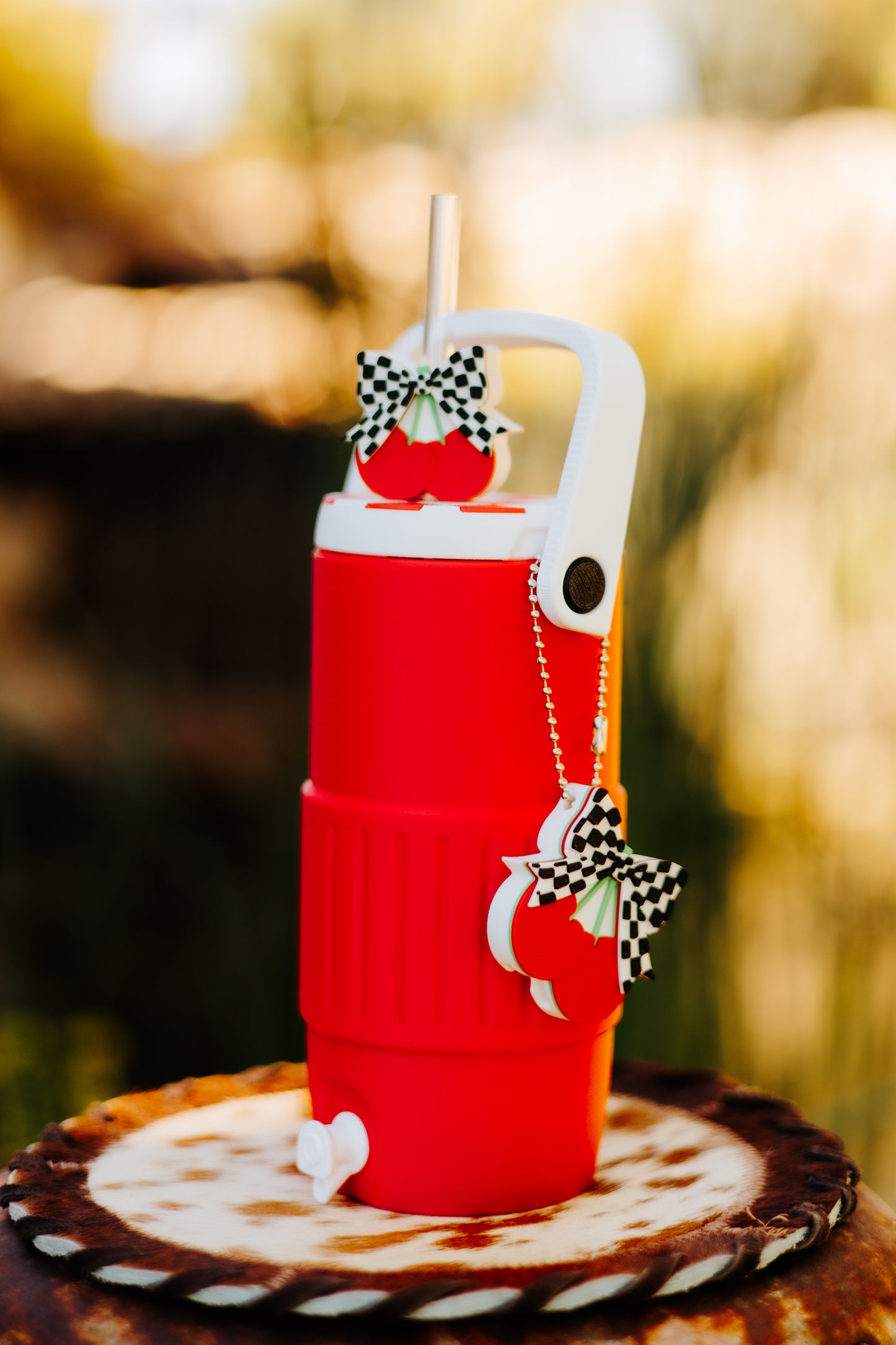 Western-Style Coozie
