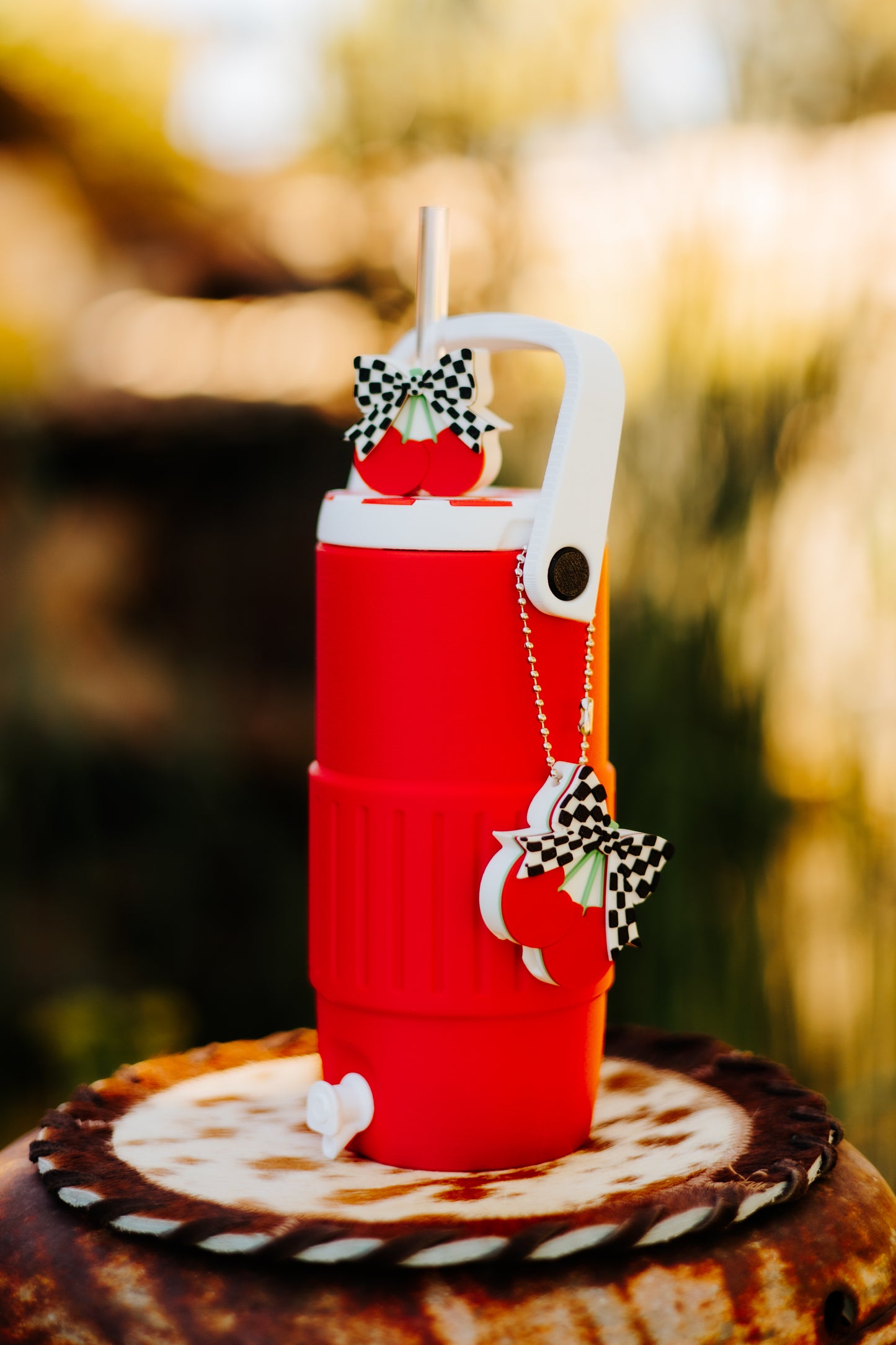 Western-Style Coozie