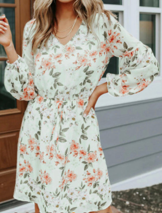 White V Neck Lantern Sleeve Elastic Waist Floral Dress