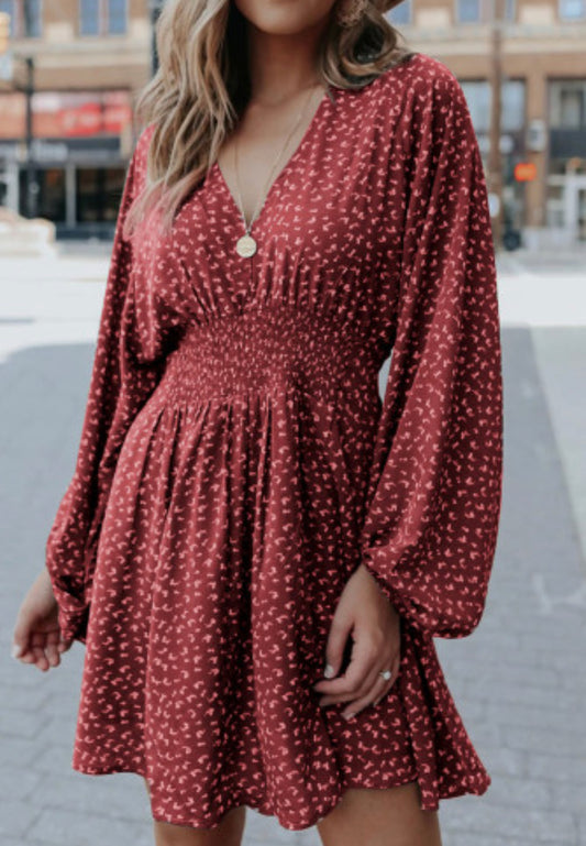 Spring Lantern Sleeve Dress