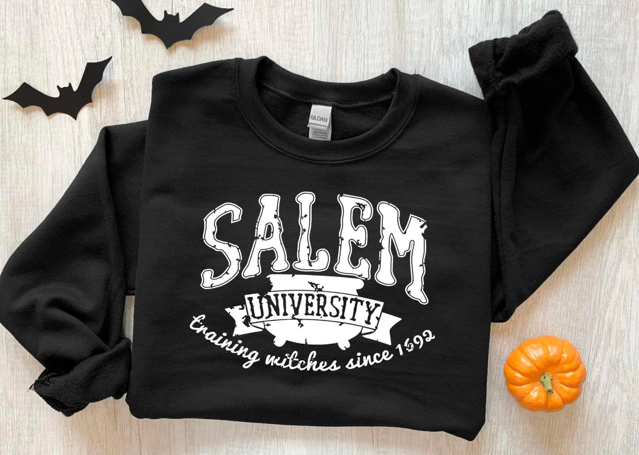 Salem University Sweatshirt