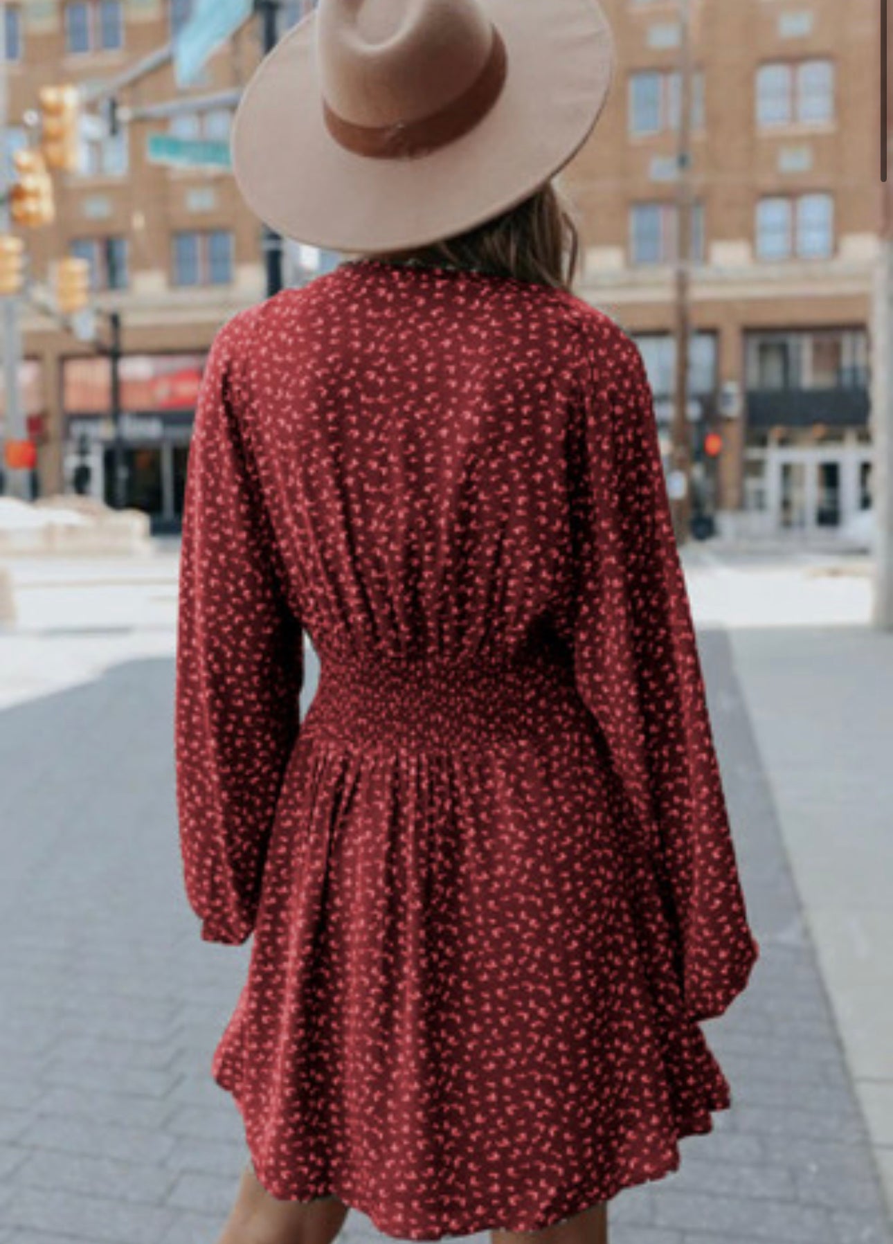 Spring Lantern Sleeve Dress